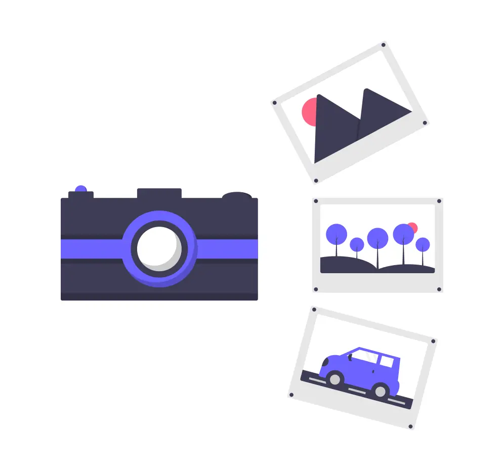 Graphic showing Gestion des pièges photographiques